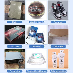 HNOC自动冷冻鸡肉卷塑料袋2合1 Shrik包装机小尺寸 - Product Image 6