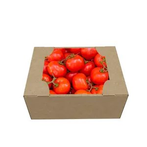 Wholesale Durable And Rigid Corrugated Cardboard Tray For Fruit Vegetable Tomaon Food Hard Cardboard Carton For Mango