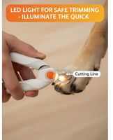2026 Hersteller Neues Design Professionelle Haustier-Nagelschere Hunde-Nageltrimmer Krallenschere mit LED-Licht Exklusive Agenturunterstützung