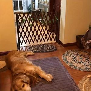 DD4542 Clôture intérieure rétractable pour animaux <span class=keywords><strong>de</strong></span> compagnie Barrière <span class=keywords><strong>de</strong></span> séparation <span class=keywords><strong>en</strong></span> <span class=keywords><strong>bois</strong></span> anti-corrosion pour chiens chats pression Nature pour porte <span class=keywords><strong>de</strong></span> <span class=keywords><strong>balcon</strong></span> <span class=keywords><strong>de</strong></span> cour - Product Image 4