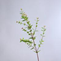 Y-M044 Großhandel Künstliche Eukalyptusblätter Hochwertige Künstliche Eukalyptus-Blumenzweige für Hochzeits- und Heimdekoration