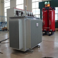 Premium Düşük Kayıplı 3 Fazlı Güç S13-M-400 400kVA 10kV/0.4kV Dış Mekan Yağlı Tip Dağıtım Trafosu 5 Kademeli Tapalı