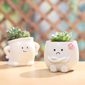 Semplicità moderna Mini vasi di piante succulente in vaso quattro emozioni fiori Potter per ufficio scrivania centro commerciale per il giardino di casa - Product Image 5