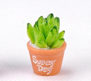 デコレーションアクセサリーDIYミニデスクトップミニチュア多肉植物サボテン鉢植え工芸品Microlandschaftオーナメント用 - Product Image 6