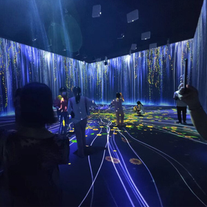 Interactive 360 <strong>3D</strong> Immersive Projection Tunnel System Outdoor Metal Wall/Floor <strong>Projector</strong> for Advertising Equipment Hot - Product Image 4