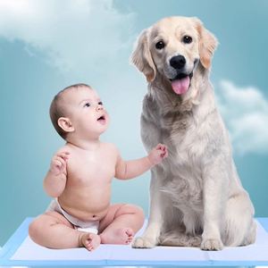Almohadillas Absorbentes Desechables para Orina de Mascotas, con Cuatro Esquinas Posicionadas, Súper Absorbentes, Ecológicas, con Certificación CE, para Animales Pequeños - Product Image 6