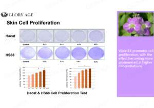 Matières premières chimiques Ingrédients de prolifération des cellules de la peau Ingrédients d'extrait de Primula Vulgaris dans les soins de la peau et la santé - Product Image 6