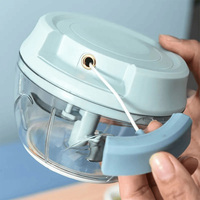Presse-ail de cuisine Gadget de presse-ail portable Accessoires de cuisine Broyeur d'ail pour la maison et la cuisine