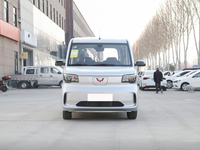 Nuevo modelo Wuling Zhiguang New Energy Electric Mini Van