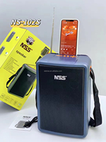 Système de sonorisation portable NS-102S avec diffusion sans fil, haut-parleur Bluetooth rechargeable en plastique haute puissance avec éclairage LED disco et radio FM