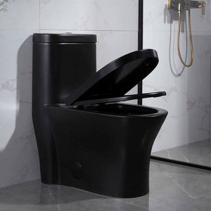 PPシートカバー付き高級デザインサイフォンワンピースセラミックトイレ - Product Image 6