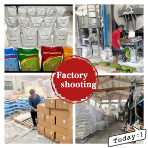 Poudre de Plâtre de Paris Finesse 2400 Mesh Arôme Stable Taille Peinture Gypse Poudre de Gypse Ultra-Blanc - Product Image 6