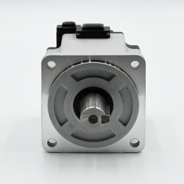OEM/ODM 750W AC 220V Servo Motor with 3000RPM Customised for Industrial Automation for Electrical Equipment