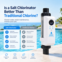 Hochwertiges HOTOOK Wasseraufbereitungssystem Automatischer Salzchlorinator für Schwimmbäder