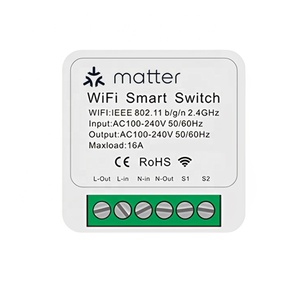 Matter Smart Home Apple Homekit Alexa Google Smarthings pris en charge 16A 2 Way DIY Timer WiFi Breaker Matter Smart Switch On Off - Product Image 1