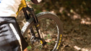 Fat Bicycle Double Crown Fork Fat Bike DH FR AM Suspension <span class=keywords><strong>Fourche</strong></span> avant Double Crown Fork <span class=keywords><strong>20</strong></span> Inch - Product Image 6