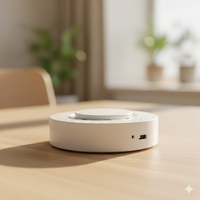 Sensor de Iones Negativos SMRTE de Alta Precisión (2%rh) RS485 DC 12-24V para Montaje en Techo, Monitoreo de Cascadas y Plantas Post-lluvia