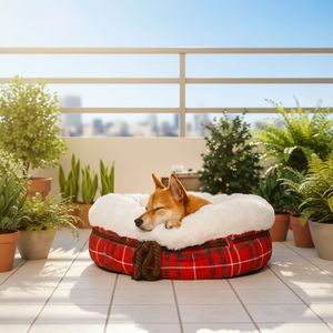 Customized Modern Fashion Plush Doughnut Dog & Cat Bed Durable Orthopedic <b>Sofa</b> Bed for All Seasons - Product Image 5