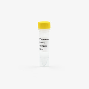 HUA Chenyang Hcy Klentaq ดีเอ็นเอโพลีเมอเรส5มล. เอนไซม์ที่ไม่ซื่อสัตย์สำหรับการใช้งาน PCR - Product Image 4
