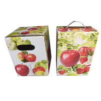 Carton liquide pour eau 1L/3L/5L/10L/20L Cubitainer Emballage pour vin et jus Sac en papier en boîte avec poignée