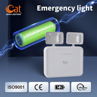 Lampe d'urgence LED à mode non maintenu, lampe de secours multifonctionnelle, fabricant OEM de lampes d'urgence