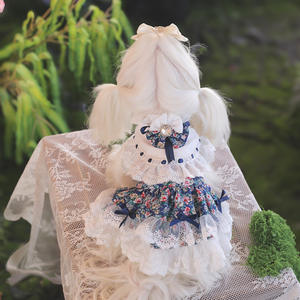 Falda Floral de Poliéster Personalizada, Elegante y Adorable para Perros Pequeños, Bichones, Malteses, Fiesta de Primavera, Cachorros - Product Image 1