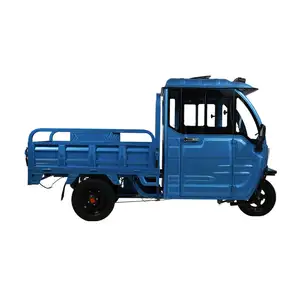 Fabriek Oem Semi-Gesloten Elektrische Driewieler Truck 800W 60V Kleine Pick-Up 1.5M Laadbak Volwassenen Ouderen Passagier-Vracht Dual Use