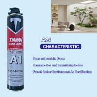Colle monocomposant en mousse de polyuréthane TIAN JIAN A24 900g 750ml pour portes en bois, travaux de menuiserie et décoration intérieure