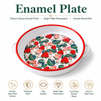 Plaque de cuisson en émail à double poignée, épaisse, pour la préparation de salades de fruits et la cuisson de pizzas, avec logo personnalisé, pour la cuisine domestique et les commandes d'exportation