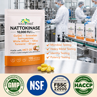 SOLOTREE 120 Gélules de Nattokinase, Compléments Alimentaires, Capsules de Nattokinase 10000 FU, Gélules de Nattokinase de Qualité Supérieure