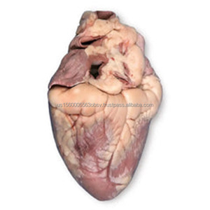 ผู้จัดหาหัวใจแกะแช่แข็ง - Product Image 3