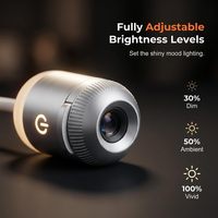 INDIVIDUELLES LOGO LED-Projektor Nachtlicht USB Mini-Sternprojektor mit Einstellbarer Helligkeit für Zuhause und Schlafzimmer