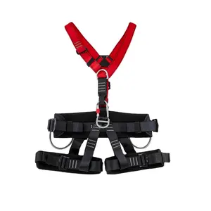 Harness Full body