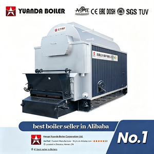 Chaudière à vapeur à granulés de <span class=keywords><strong>bois</strong></span> biomasse Yuanda 6 tonnes, homologuée ASME CE, à alimentation et décharge automatiques des cendres, faibles émissions - Product Image 2