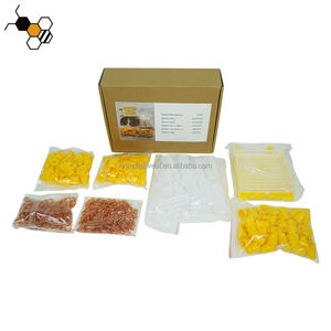 Set di strumenti per apicoltura all'ingrosso sistema di allevamento regina Jenter griglia e gabbia di protezione delle cellule - Product Image 2