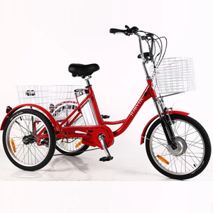 Triciclo Eléctrico Tortia de 20 Pulgadas con Batería de Litio de 48V para Pasajeros con Cesta Delantera y Trasera - Product Image 1