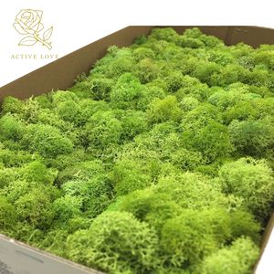 Panneau mural personnalisé en mousse de renne blanche, mousse naturelle stabilisée et préservée, pour la maison, mariage, fête des mères, Saint-Valentin, Pâques - Product Image 1