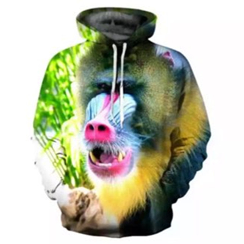 Monkey-1225