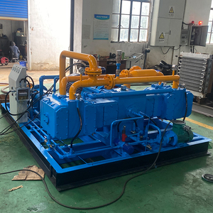 Compressore per compressore Cng dell'attrezzatura della stazione di rifornimento dell'automobile - Product Image 6