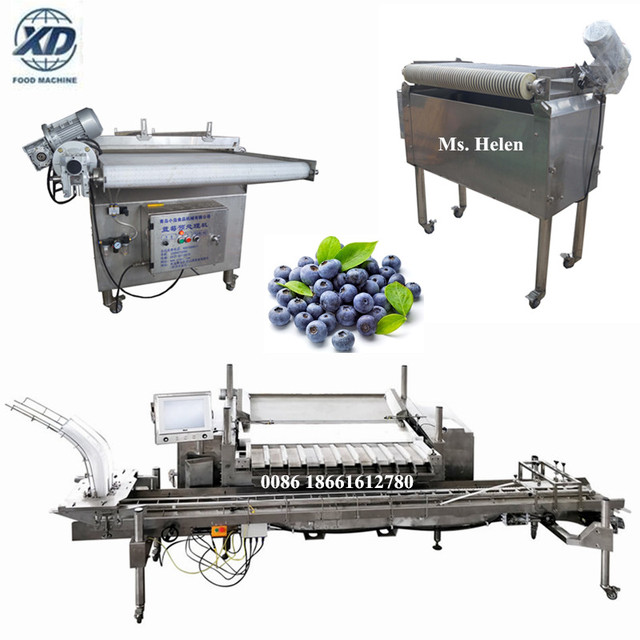 1 Ton/hour Blueberry Sorting Machine, Blueberry Weighing Machine, Blueberry Packing Line