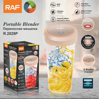 300ml 10oz Multi-fonction Portable Personnalisé Mixeur Usb Type-C Mélangeur Tasse Glace Portable Mini Tasse presse presse-agrumes