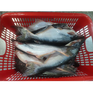 สำหรับ<span class=keywords><strong>ราคา</strong></span>ตลาดแอฟริกาและตะวันออกกลาง - Product Image 1