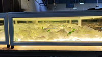 Plateforme de scène LED pour mariage et fête, avec fleurs lumineuses sur un sol de danse en verre trempé à effet 3D SIMPSON