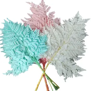 保存的高山蕨叶用于花束制作和家庭布置圣诞节和母亲节的天然新鲜材料