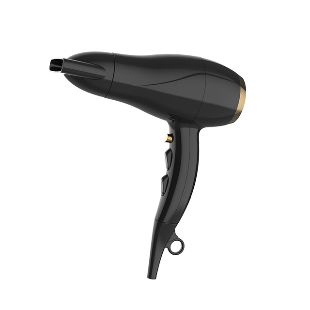 High Performance Ionic Brushless DC Electric Hair Dryer Salon Lightweight for All Hair Types Hotel & Household Use
