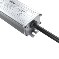 Fuente de alimentación LED a prueba de agua IP67 de fábrica 58V-60W 300W 200W 150W 120W 100W 80W 50W Controlador LED para iluminación industrial al aire libre