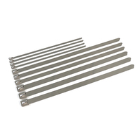 Attaches-câbles autobloquantes en acier inoxydable sur mesure S304/S316, revêtement nylon écologique pour le regroupement de câbles