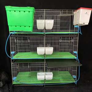 Yeni galvanizli H tipi otomatik gübre tepsisi ile 3 katmanlı tavşan kafesleri 12 tavşanlar için dayanıklı inşaat ticari kullanım - Product Image 1