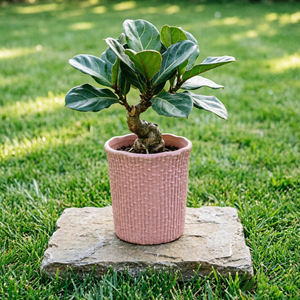 Élégants pots de fleurs en céramique rouge et rose tressés en rotin pour la décoration intérieure et extérieure, la maison, le bureau, l'hôtel - Product Image 3