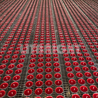 Großhandel Indien 25er-Pack 1,5 Zoll 4-Stunden-Diwali Transparente Plastikbecher Klare Becher Teelicht Sandelholz-Teelichter